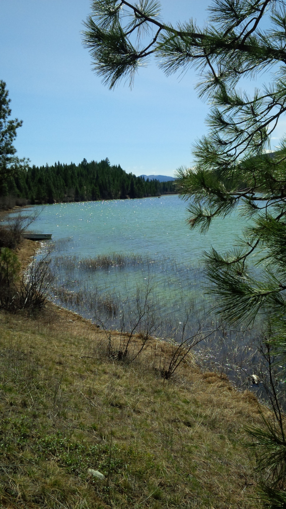 Larchwood Lake
